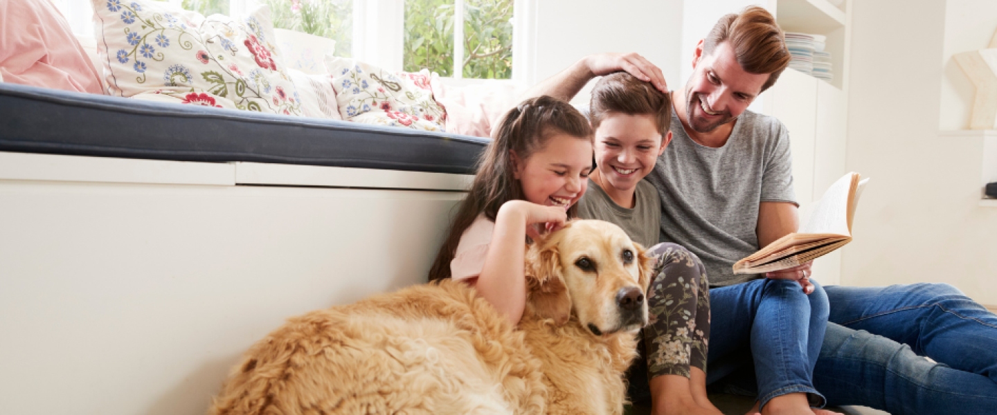 Adams Eaddy & Associates:
Four decades of insuring 
Columbia’s businesses.